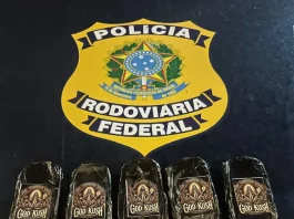 Tabletes de Supermaconha (haxixe) apreendidos pela PRF na BR-101 em Palhoça