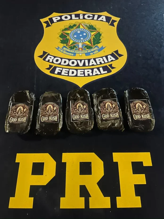 supermaconha Tabletes de Supermaconha (haxixe) apreendidos pela PRF na BR-101 em Palhoça