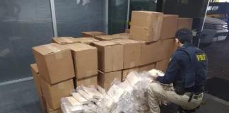 Agentes da Ficco/SC durante apreeensão de cocaína