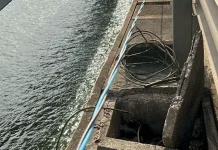 Dupla é flagrada tentando furtar fios da Ponte Colombo Salles Fios que estavam sendo furtados na Ponte Colombo Sales