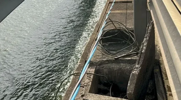 Dupla é flagrada tentando furtar fios da Ponte Colombo Salles Fios que estavam sendo furtados na Ponte Colombo Sales
