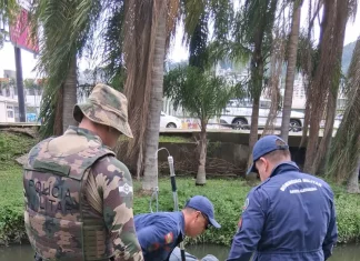 Bombeiros resgatam jacaré preso em galeria pluvial em Florianópolis Bombeiros realizam resgate de jacaré preso em galeria