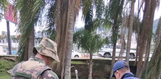 Bombeiros realizam resgate de jacaré preso em galeria