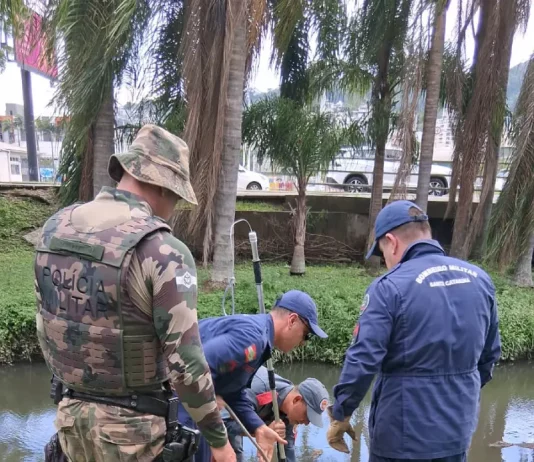 Bombeiros resgatam jacaré preso em galeria pluvial em Florianópolis Bombeiros realizam resgate de jacaré preso em galeria