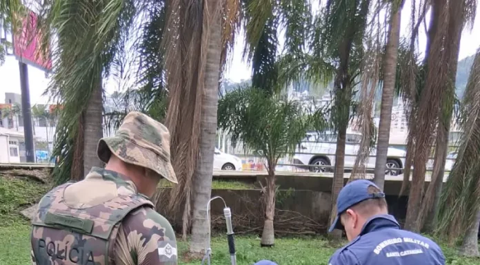 Bombeiros realizam resgate de jacaré preso em galeria