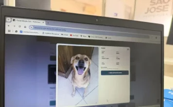 Plataforma de adoção de pets lançado pela Prefeitura Municipal de São José