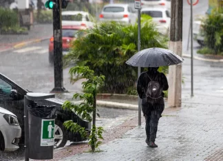 Fim de semana terá temporais, calor intenso e chuva persistente em Santa Catarina pessoa caminhando na chuva com guarda-chuva aberto, indicando a previsão do tempo de calor intenso e temporais