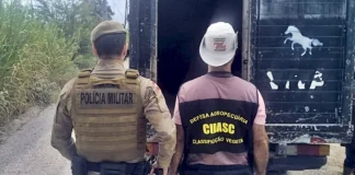 Policiais militares ao lado de caminhão utilizado no transporte de animais recolhidos em ações contra a Farra do Boi em Santa Catarina.