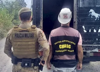 Policiais militares ao lado de caminhão utilizado no transporte de animais recolhidos em ações contra a Farra do Boi em Santa Catarina.