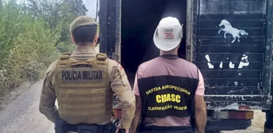 PMSC inicia Operação Quaresma contra a Farra do Boi em Santa Catarina com multas de até R$ 20 mil Policiais militares ao lado de caminhão utilizado no transporte de animais recolhidos em ações contra a Farra do Boi em Santa Catarina.