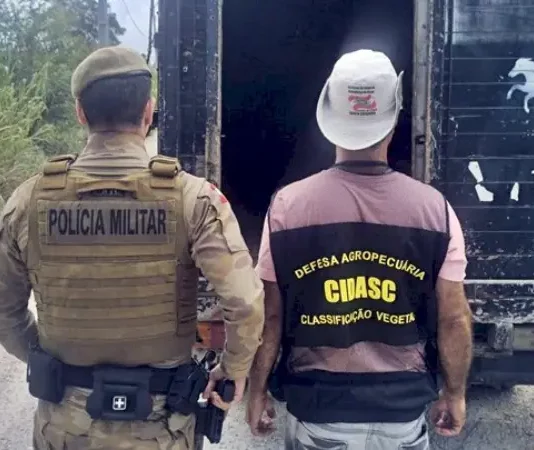 PMSC inicia Operação Quaresma contra a Farra do Boi em Santa Catarina com multas de até R$ 20 mil Policiais militares ao lado de caminhão utilizado no transporte de animais recolhidos em ações contra a Farra do Boi em Santa Catarina.