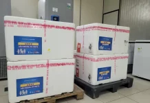 Doses de nirsevimabe recebido pela Secretaria da Saúde de SC