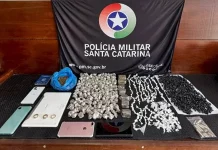Mais de 750 pedras de crack são apreendidas em Florianópolis pedras de crack apreendidas pela Polícia Militar
