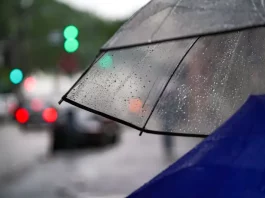 Pessoa caminhando com guarda-chuva na chuva, mostrando o tempo instável em Santa Catarina