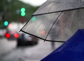 Pessoa caminhando com guarda-chuva na chuva, mostrando o tempo instável em Santa Catarina