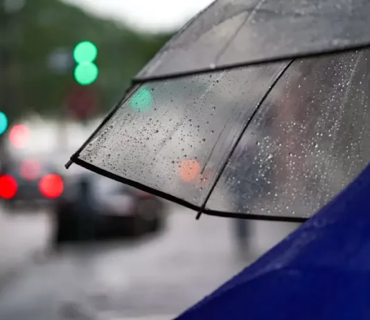 Pessoa caminhando com guarda-chuva na chuva, mostrando o tempo instável em Santa Catarina