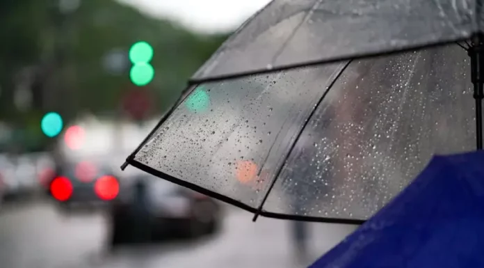 Tempo instável em Santa Catarina: temporais e chuva atingem Grande Oeste e Litoral Pessoa caminhando com guarda-chuva na chuva, mostrando o tempo instável em Santa Catarina