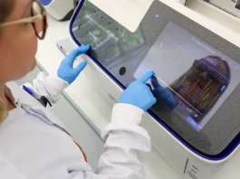 Técnica realiza análise de pescados em Santa Catarina com equipamento de DNA, verificando autenticidade e qualidade das espécies em laboratório.