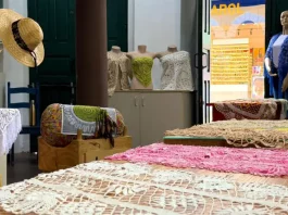 Artesanato em renda de bilro exposto no Armazém da Renda em Florianópolis, com peças produzidas por rendeiras para valorização cultural e comercialização ao público.