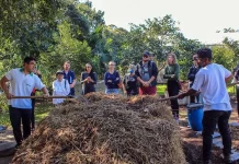 Pátio de compostagem em Florianópolis representando projeto no Programa Mutirão Brasil