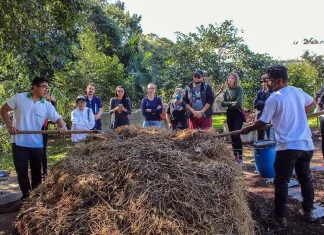 Pátio de compostagem em Florianópolis representando projeto no Programa Mutirão Brasil