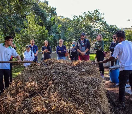 Pátio de compostagem em Florianópolis representando projeto no Programa Mutirão Brasil