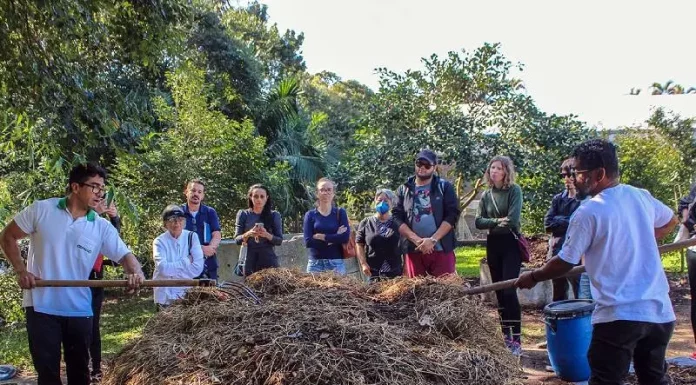 Programa Mutirão Brasil seleciona Florianópolis para projeto de compostagem Pátio de compostagem em Florianópolis representando projeto no Programa Mutirão Brasil