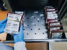 Bolsas de sangue armazenadas em unidade do Hemosc em Santa Catarina, usadas para abastecer hospitais e atender pacientes que precisam de transfusão.