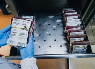 Bolsas de sangue armazenadas em unidade do Hemosc em Santa Catarina, usadas para abastecer hospitais e atender pacientes que precisam de transfusão.