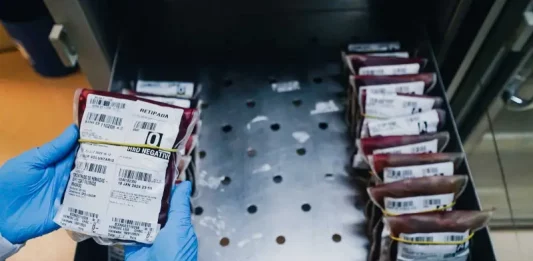 Doação de sangue em Santa Catarina cai 4% e Hemosc alerta para estoques Bolsas de sangue armazenadas em unidade do Hemosc em Santa Catarina, usadas para abastecer hospitais e atender pacientes que precisam de transfusão.