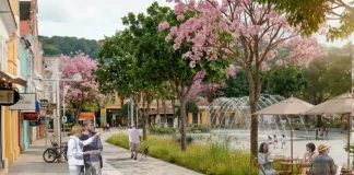 Imagem ilustrativa apresenta proposta de requalificação do Centro de Florianópolis, com calçadas amplas, ciclovia, árvores floridas e praça com fonte e mesas ao ar livre. A cena mostra pessoas caminhando, pedalando e convivendo no espaço público, ilustrando a proposta de planejamento urbano que prioriza pedestres, áreas verdes e convivência no projeto Floripa Centro.