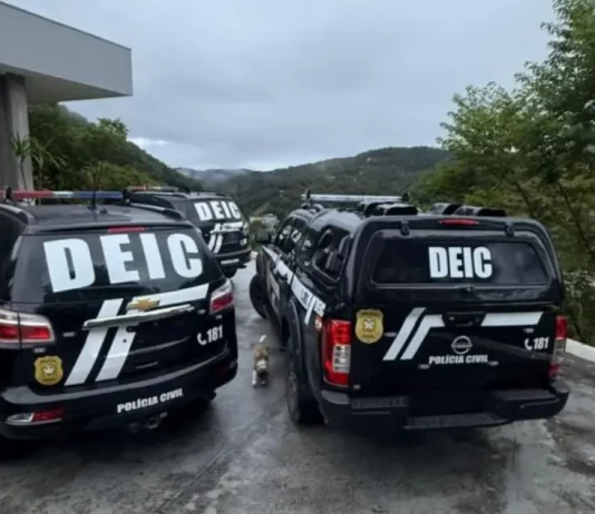 Viaturas da DEIC durante cumprimento de mandados em endereços investigados por fraude em editais de pesquisa em Santa Catarina na Operação PHD.