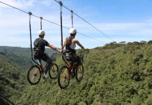 Duas pessoas praticam cicloturismo em cabo suspenso (skybike) sobre área de mata, ilustrando atividade de turismo de aventura com vista panorâmica e contato com a natureza.