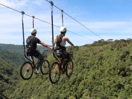 Duas pessoas praticam cicloturismo em cabo suspenso (skybike) sobre área de mata, ilustrando atividade de turismo de aventura com vista panorâmica e contato com a natureza.