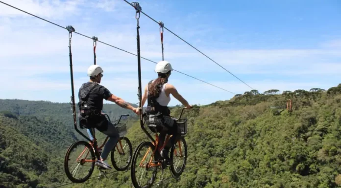 Santa Catarina oferece turismo de aventura em todas as regiões Duas pessoas praticam cicloturismo em cabo suspenso (skybike) sobre área de mata, ilustrando atividade de turismo de aventura com vista panorâmica e contato com a natureza.