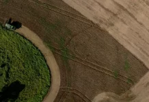 Imagem mostra área agrícola em Santa Catarina com lavouras em produção e atividade rural, ilustrando o desempenho do agronegócio catarinense em 2025 e a força da produção agropecuária no estado.