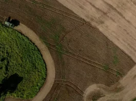 Imagem mostra área agrícola em Santa Catarina com lavouras em produção e atividade rural, ilustrando o desempenho do agronegócio catarinense em 2025 e a força da produção agropecuária no estado.