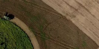 Imagem mostra área agrícola em Santa Catarina com lavouras em produção e atividade rural, ilustrando o desempenho do agronegócio catarinense em 2025 e a força da produção agropecuária no estado.