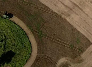 Imagem mostra área agrícola em Santa Catarina com lavouras em produção e atividade rural, ilustrando o desempenho do agronegócio catarinense em 2025 e a força da produção agropecuária no estado.