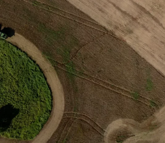 Imagem mostra área agrícola em Santa Catarina com lavouras em produção e atividade rural, ilustrando o desempenho do agronegócio catarinense em 2025 e a força da produção agropecuária no estado.