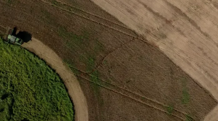 Imagem mostra área agrícola em Santa Catarina com lavouras em produção e atividade rural, ilustrando o desempenho do agronegócio catarinense em 2025 e a força da produção agropecuária no estado.