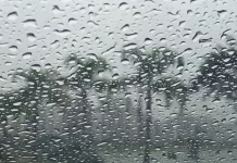 Chuva intensa e temporais marcam a semana em SC Gotas de chuva intensa sobre vidro com paisagem desfocada ao fundo, ilustrando o tempo instável e o volume elevado de precipitação em Santa Catarina.