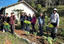 Crianças e adolescentes do o Educandário Santa Catarina participam de projeto agroecológico beneficiado pela iniciativa de destinação de recursos do Imposto de Renda