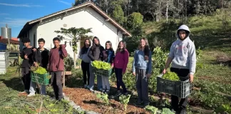 Crianças e adolescentes do o Educandário Santa Catarina participam de projeto agroecológico beneficiado pela iniciativa de destinação de recursos do Imposto de Renda