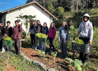 Crianças e adolescentes do o Educandário Santa Catarina participam de projeto agroecológico beneficiado pela iniciativa de destinação de recursos do Imposto de Renda