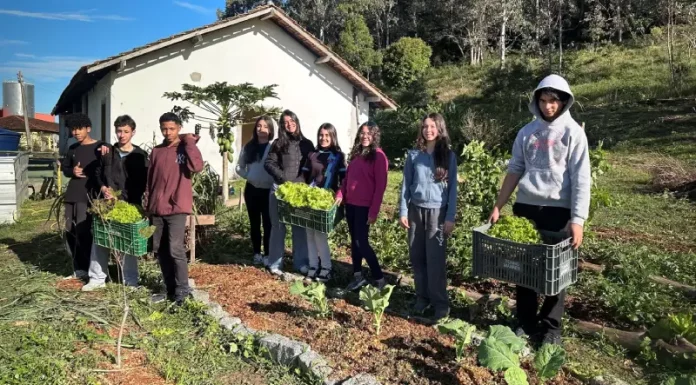 Crianças e adolescentes do o Educandário Santa Catarina participam de projeto agroecológico beneficiado pela iniciativa de destinação de recursos do Imposto de Renda