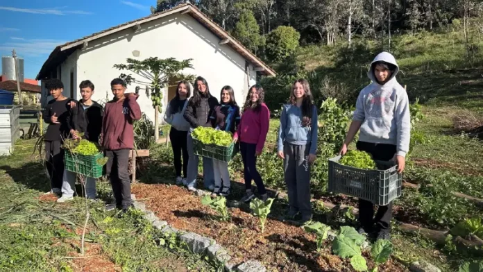 Crianças e adolescentes do o Educandário Santa Catarina participam de projeto agroecológico beneficiado pela iniciativa de destinação de recursos do Imposto de Renda