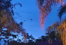 Operação Sem Lastro: PF bloqueia R$ 365 milhões em fraude previdenciária Viatura da Polícia Federal em frente ao endereço de buscas da Operação Sem Lastros