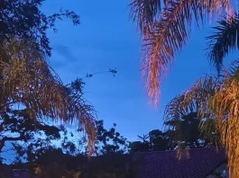 Viatura da Polícia Federal em frente ao endereço de buscas da Operação Sem Lastros