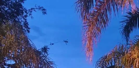 Viatura da Polícia Federal em frente ao endereço de buscas da Operação Sem Lastros